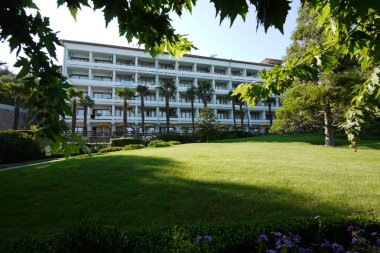 Palmiye ağaçları ve yeşil otlar ile yapı önünde çim