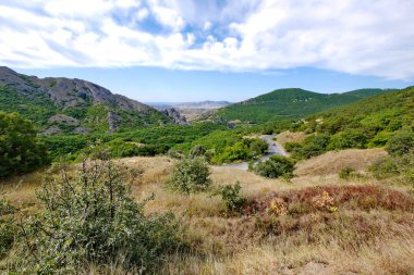 Otoban ormanıyla kaplı dağ yamaçlar arasında sarma bir yılan olduğunu
