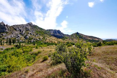 Beyaz boşanma ve çalılar ile bozkır mavi gökyüzünde. Arka planda dağlar vardır