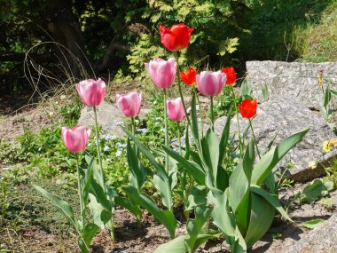 Üstten doğal görünümüne yakındaki rocky Dağları ve sonsuz mavi deniz
