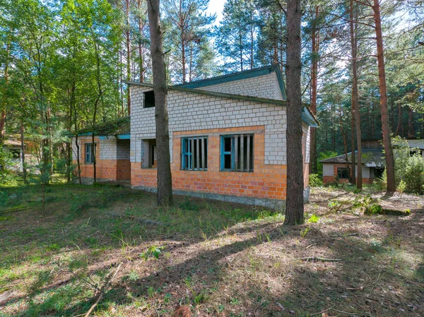 Casas de ladrillo tiradas con ventanas de madera en un bosque de coníferas — Foto de Stock