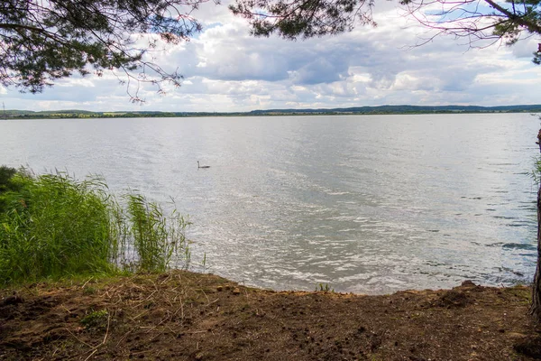 Krásný výhled ze břehu velké jezero s šišky na horách daleko — Stock fotografie