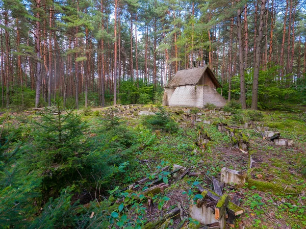 An abandoned house in a pine forest under a slate roof standing next to the broken rows of benches against the backdrop of green bushes. — Stock Photo, Image