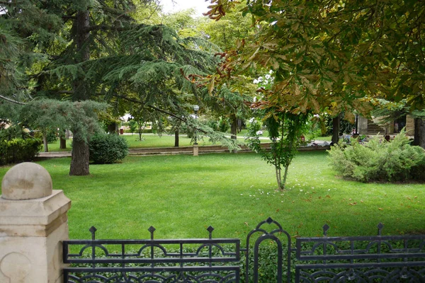 Piękny zielony trawnik w parku za niskim ogrodzeniem z ogrodzenia metalowe z rosnącym jodły i kasztany. — Zdjęcie stockowe