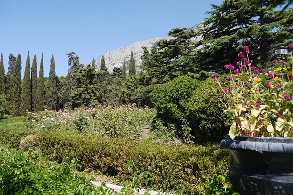 Un jarrón de piedra con flores y muchos arbustos y árboles ornamentales contra el telón de fondo de una enorme montaña rocosa —  Fotos de Stock