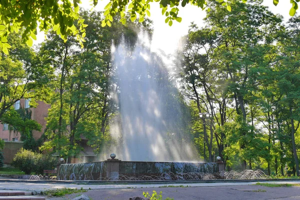 Високий білий фонтан на деревах в парку з падаючими тінями на ньому — стокове фото
