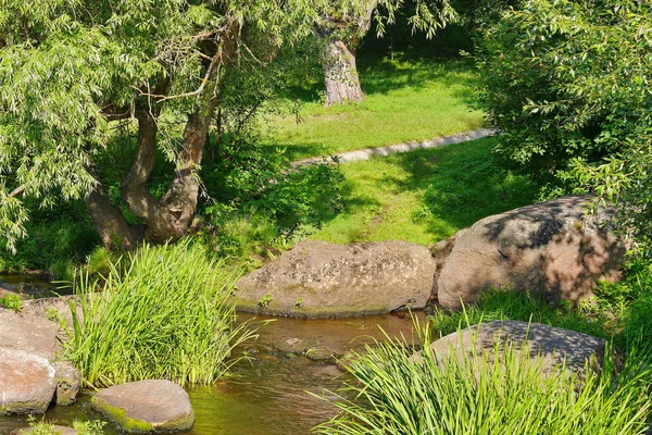 Una pequeña fuente de agua en el bosque verde esmeralda, en el que hay grandes rocas. Cuento de hadas —  Fotos de Stock