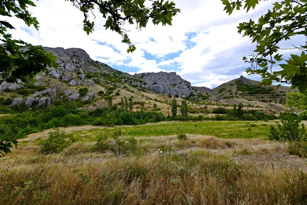 Ένα όμορφο τοπίο της φύσης με μια καταπράσινη κοιλάδα και πλαγιές βουνών διάστικτη με πέτρες — Φωτογραφία Αρχείου