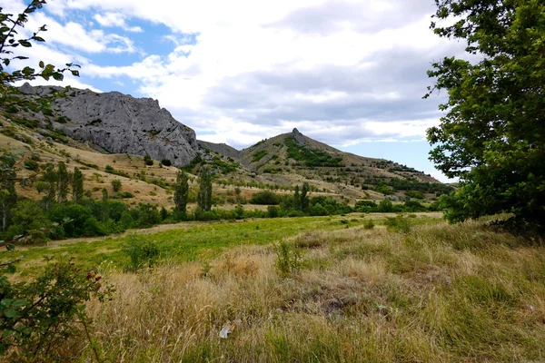 Carpates monticules rocheux avec plantation rare de buissons sous un ciel nuageux bleu — Photo