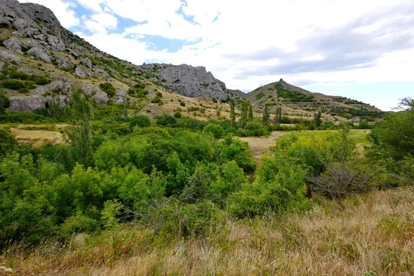 Belle nature dans une région montagneuse avec des buissons verts et des arbres et des pentes parsemées de pierres . — Photo