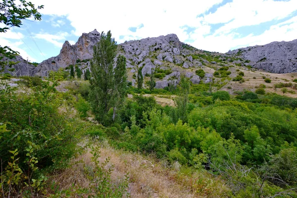 La natura pittoresca di cespugli verdi e alberi su uno sfondo di piccole rocce punteggiate di pietre con un cielo blu con nuvole galleggianti sopra di loro . — Foto Stock