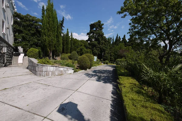 Ścieżki w parku jest betonowa z Wielkiej płyty z pięknej roślinności wokół to doskonałe miejsce na spacery i relaks. — Zdjęcie stockowe