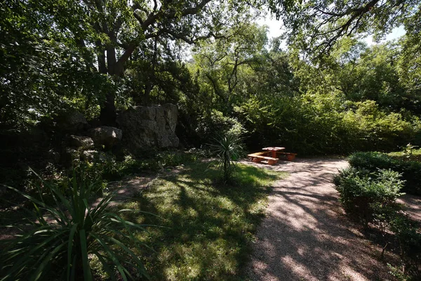 Små träbänkar med en tabell står i skuggan av träden i en mysig plats i parken bredvid banan och en stor sten som låg nära buskarna. — Stockfoto