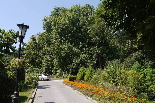 Osamělý nakřivo Lucerna stojící poblíž asfaltové cesty v parku s květy rostoucí podél a husté zelené stromy a okolí. — Stock fotografie