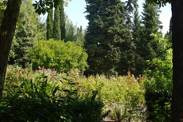 Een prachtig flowerbed met hoge bloemen groeien in een park onder groene struiken en weelderige bomen onder de stralen van de zon van een hete zomer. — Stockfoto