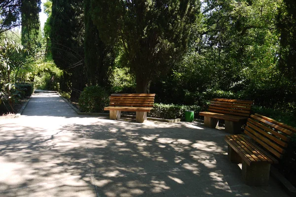 Panchine in legno nel parco in un luogo pittoresco accogliente all'ombra degli alberi accanto al sentiero è un buon posto per rilassarsi e distendersi dal trambusto quotidiano . — Foto Stock