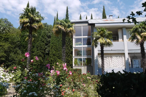 stock image The facade of the cottage and tropical plants near it. Small palms, flowers of different colors