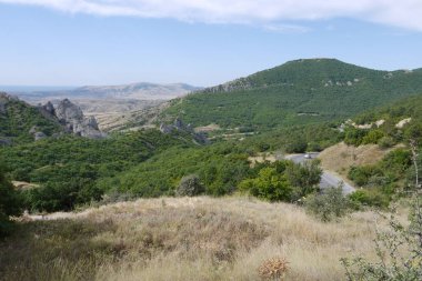 ufka uzanan ormanların yeşil bir halı ile kaplı dağları