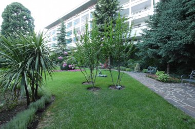 Güzel süs bitkileri ve çiçekleri ile yeşil bir parkın arka planına karşı Tatil evi