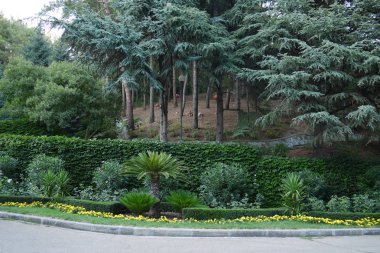 Alışveriş merkezi yakınındaki çiçek yataklarında güzel yeşil çam ağaçları ve süs bitkileri ile park alanı
