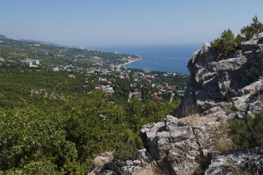 güzel bir sahil kasabası arka plan üzerinde küçük çim kaplı kaya