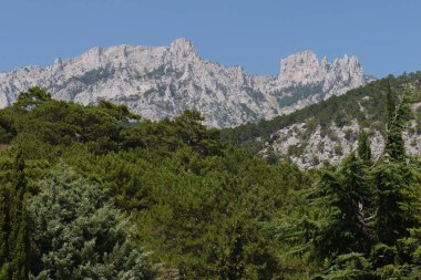 kalın yeşil ağaçların yüksek sarp dağların arka plan üzerinde mavi bir gökyüzü altında