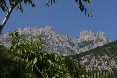 kalın yeşil ağaçların yüksek sarp dağların arka plan üzerinde mavi bir gökyüzü altında
