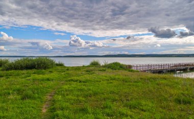 Güzel bir çimen geniş bir karanlık su gölünün arka planında çimlerle kaplıdır.