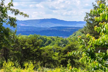 Yemyeşil ağaçlar ve çalılar sonsuz gurur dağ aralıkları ve mavi gökyüzü fon karşı
