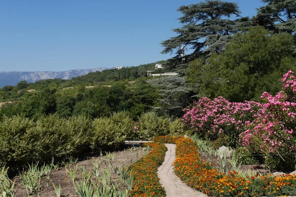 Una magnífica vista desde la pasarela entre los arbustos verdes y hermosas flores a los picos de la montaña en los tilos del horizonte bajo el cielo azul — Foto de Stock