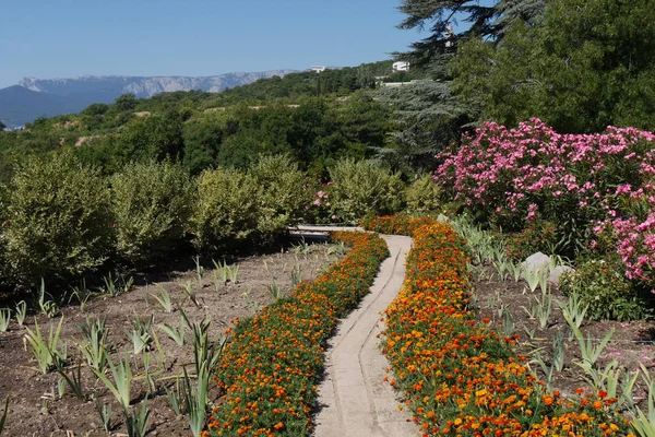 Un estrecho camino entre parterres con caléndulas naranjas y otras flores — Foto de Stock