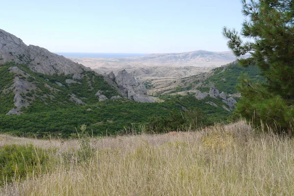 Vista dall'alto verso la verde valle con alberi decidui e le vicine catene montuose — Foto Stock