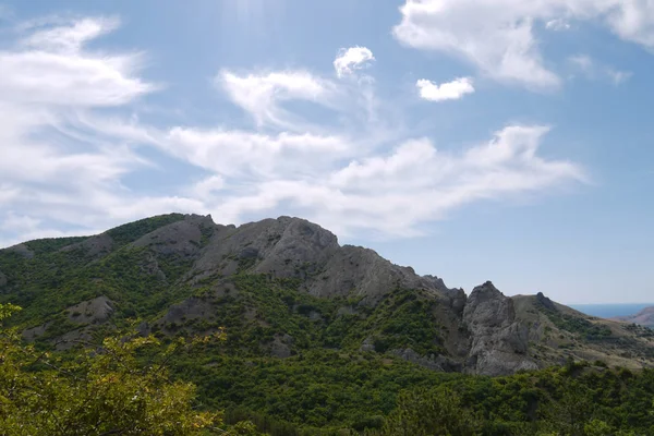 Скалистая вершина горы, покрытая кустами, покрывающими синее море — стоковое фото