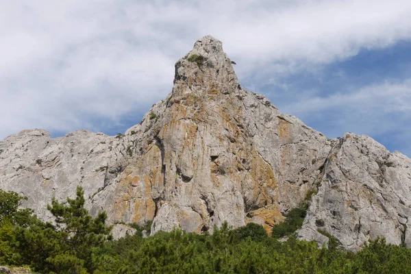 Hög brant vaggar cliff mot bakgrund av vackra gröna träd och blå himmel — Stockfoto