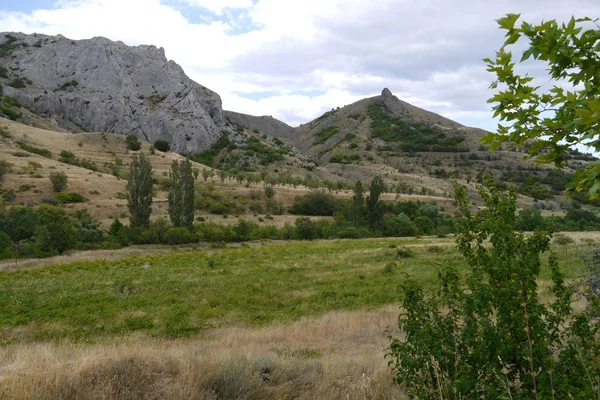 Зеленая поляна с деревьями на фоне двух высоких скалистых гор — стоковое фото