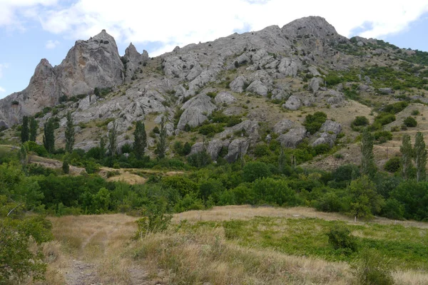 Una ripida montagna rocciosa tortuosa con alberi verdi e arbusti ai suoi piedi — Foto Stock