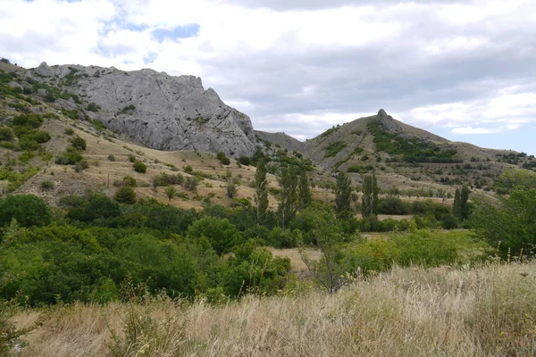 Steppa secca con alberi solitari e rocce con montagne sullo sfondo — Foto Stock