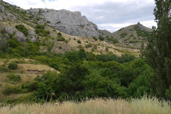 Colinas rocosas con árboles verdes y hierbas secas de sol abrasador —  Fotos de Stock