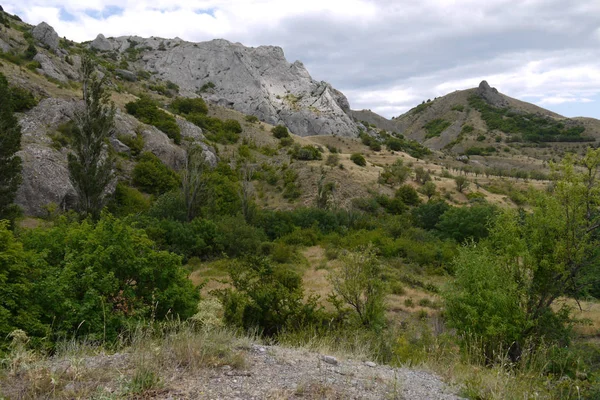 Arbustos vivos verdes e grama seca ao pé de uma montanha rochosa — Fotografia de Stock