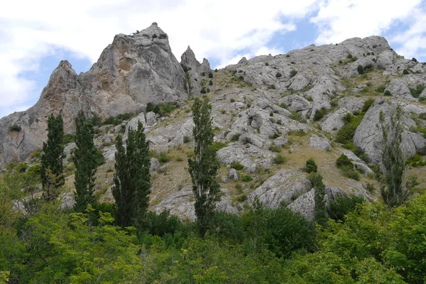 Steiniger Berg mit Wald und Zypressen im Vordergrund — Stockfoto