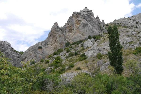 Ein steiler, gewundener Hang mit grünen Bäumen, Büschen und riesigen Felsen an der Spitze — Stockfoto