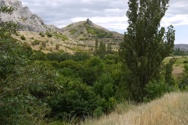 Utsikt över en grön dal med höga träd vid foten av en stenig bergskedja — Stockfoto