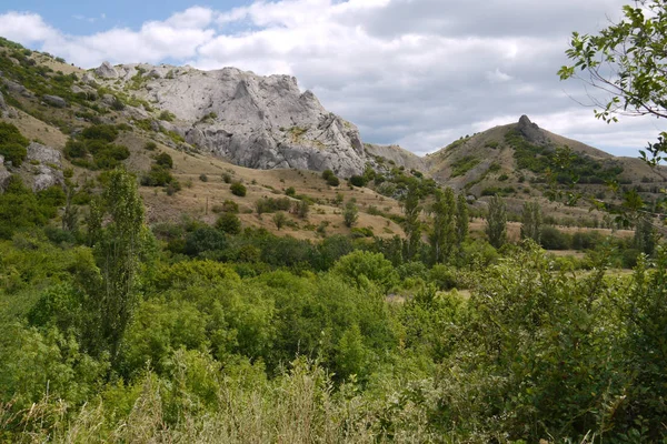 Ett vackert landskap av ett berg som sluttar med grön vegetation och en sten topp av en av dem som om rinner ur munnen på en vulkan. — Stockfoto