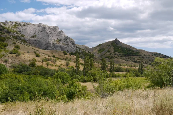 Kleine Büsche und hohe grüne Bäume vor der Kulisse hoher felsiger Berge — Stockfoto