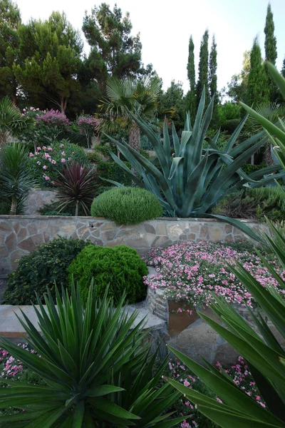 Clôture en pierre avec parterres de fleurs décoratifs, palmiers hauts et plantes exotiques vertes — Photo