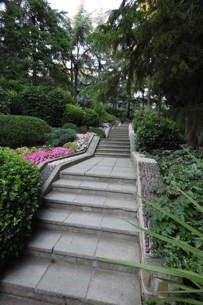 Large, long stairs between green spaces and flower beds in the park — Stock Photo, Image