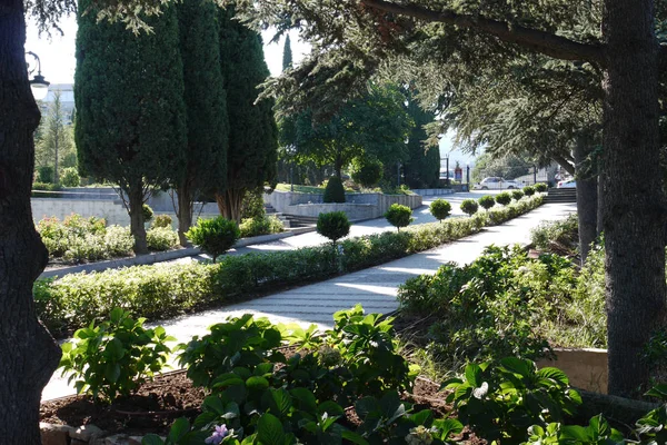 Elegante vista de césped verde y arbustos en el parque con senderos que van entre ellos — Foto de Stock