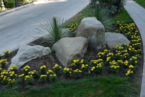 아름다운 노란 꽃이 자라고 있는 화단에 누워 있는 돌들이 양쪽에 산책로를 따라 자라고 있습니다.. — 스톡 사진