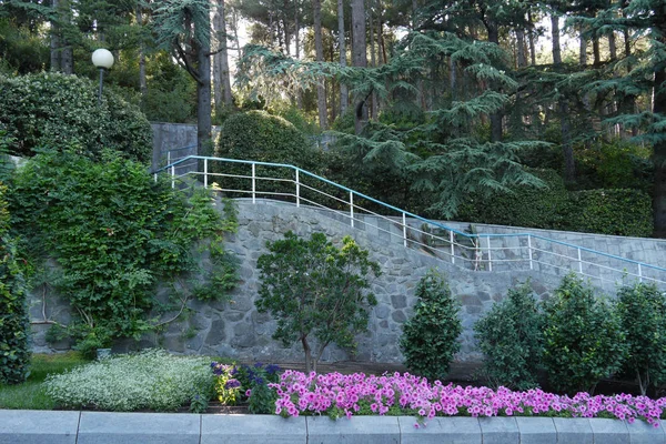 Un macizo de flores con pequeñas flores rosadas en la escalera que conduce profundamente a la zona verde del parque —  Fotos de Stock