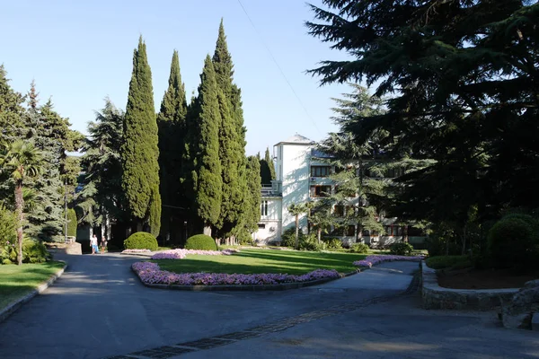 Beau parc avec ruelles près de l'hôtel. Les yeux admirent les grands conifères et arbustes — Photo